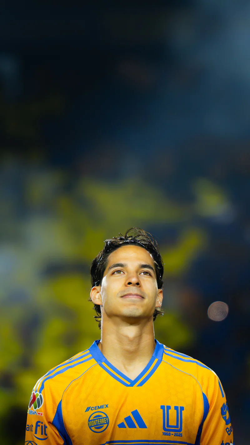 Tigres